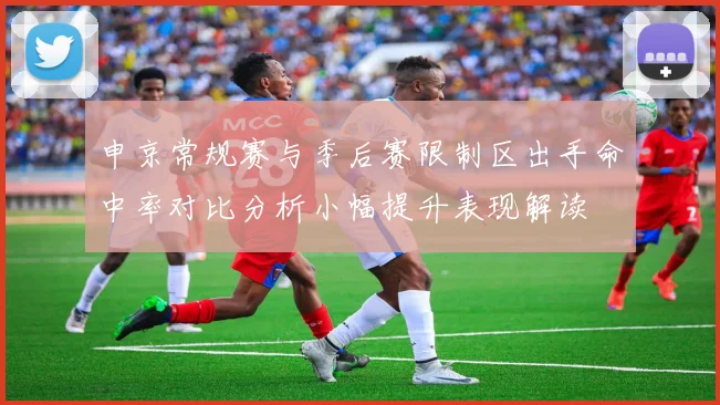 申京常规赛与季后赛限制区出手命中率对比分析小幅提升表现解读