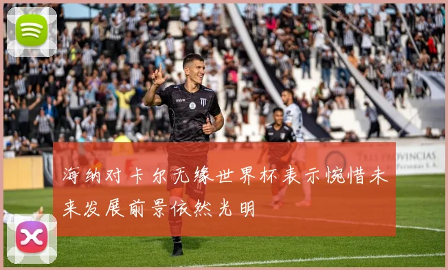 海纳对卡尔无缘世界杯表示惋惜未来发展前景依然光明